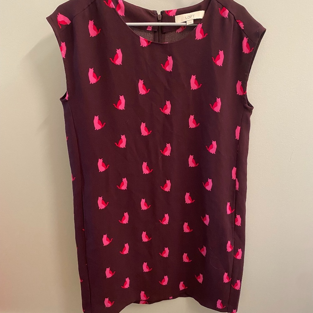Loft Cat Dress